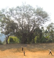 Kudeng Rim Living Root Bleachers, with children playing on the football field in front of it